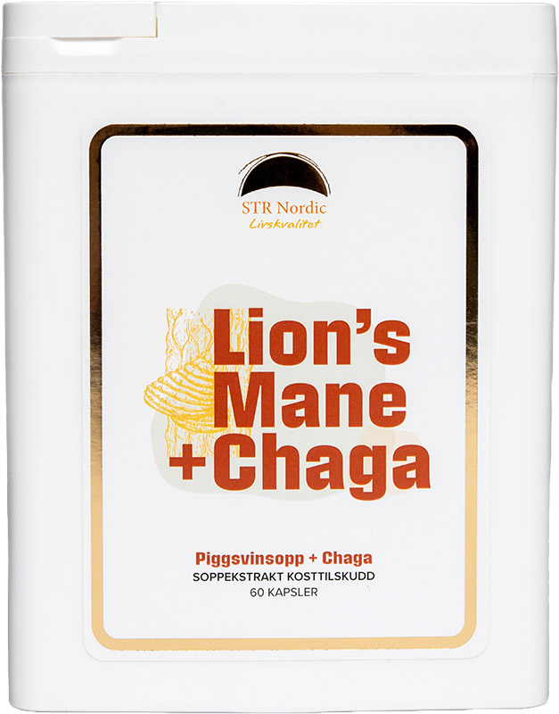 Lions-Mane-Chaga_Norway